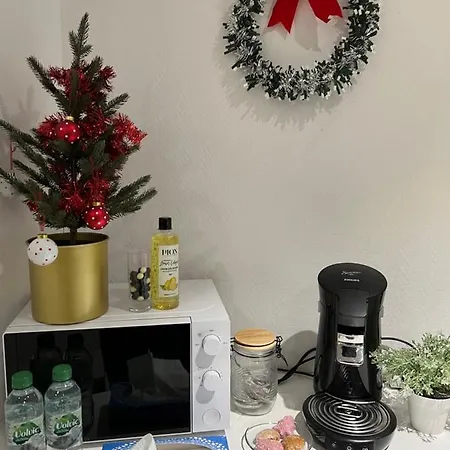 Apartment Neuf, Centre-ville, 400m De Rivetoile 4 Voyageurs Straßburg