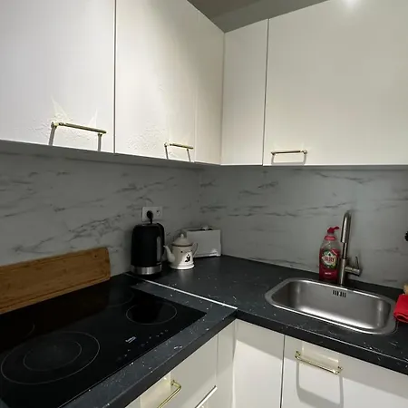 Neuf, Centre-ville, 400m De Rivetoile 4 Voyageurs שטרסבורג